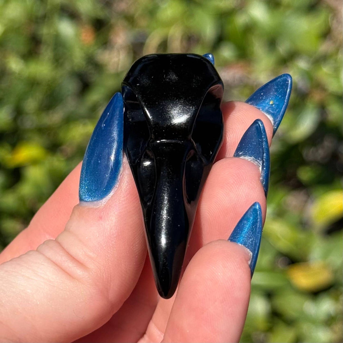The Crystal Tabby - Obsidian Raven Skull - Small