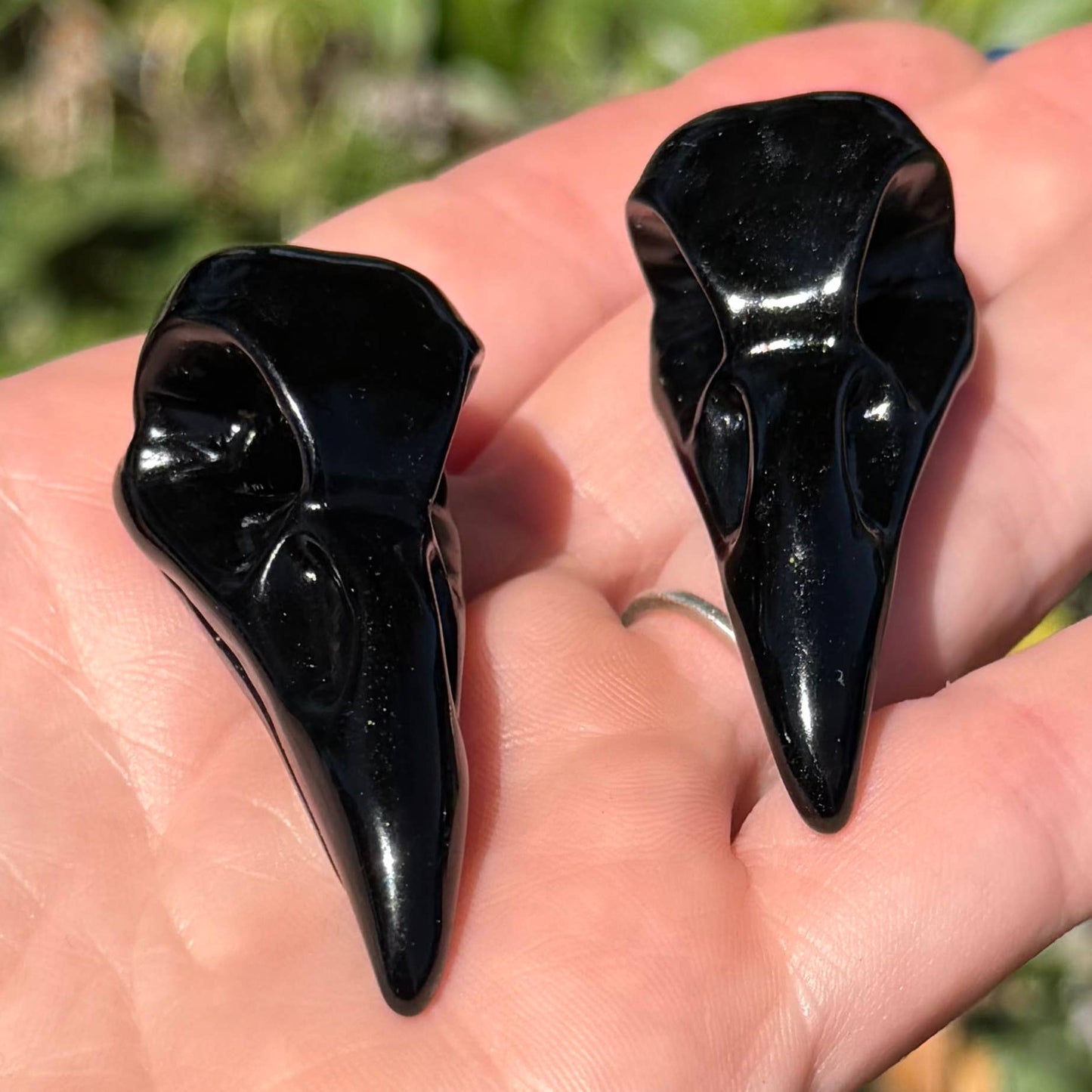 The Crystal Tabby - Obsidian Raven Skull - Small