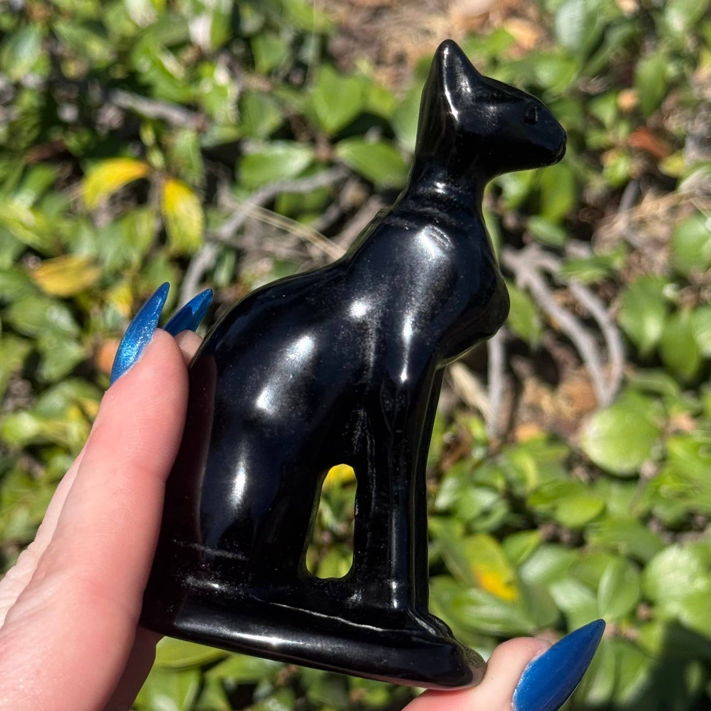 The Crystal Tabby - Obsidian Sphynx - Large
