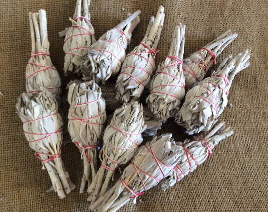 White Sage Mini Drumstick