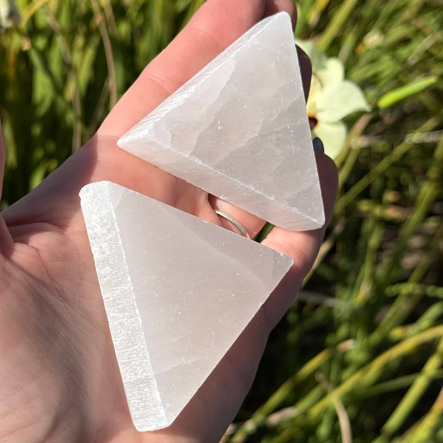 The Crystal Tabby - Selenite Triangle Plate