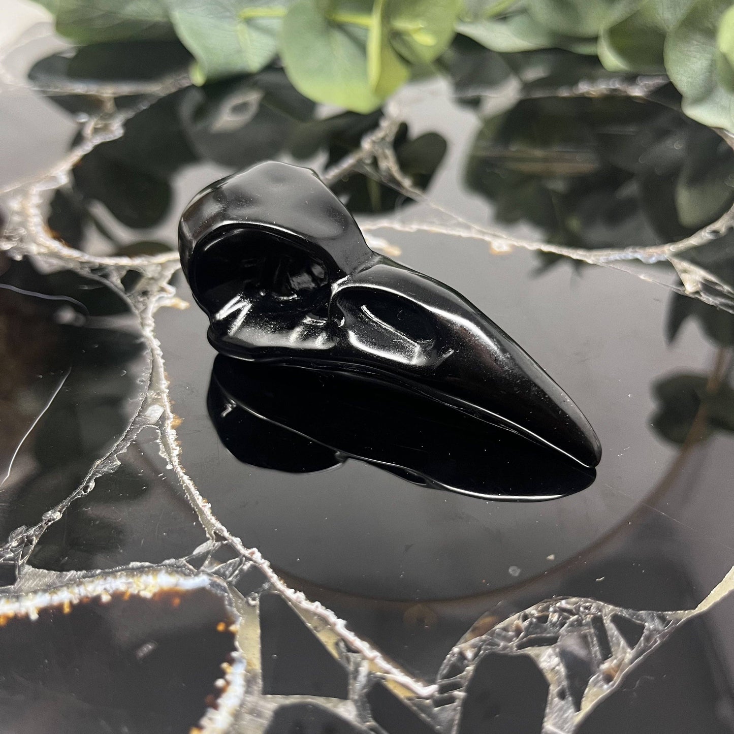 The Crystal Tabby - Obsidian Raven Skull Carving - Large
