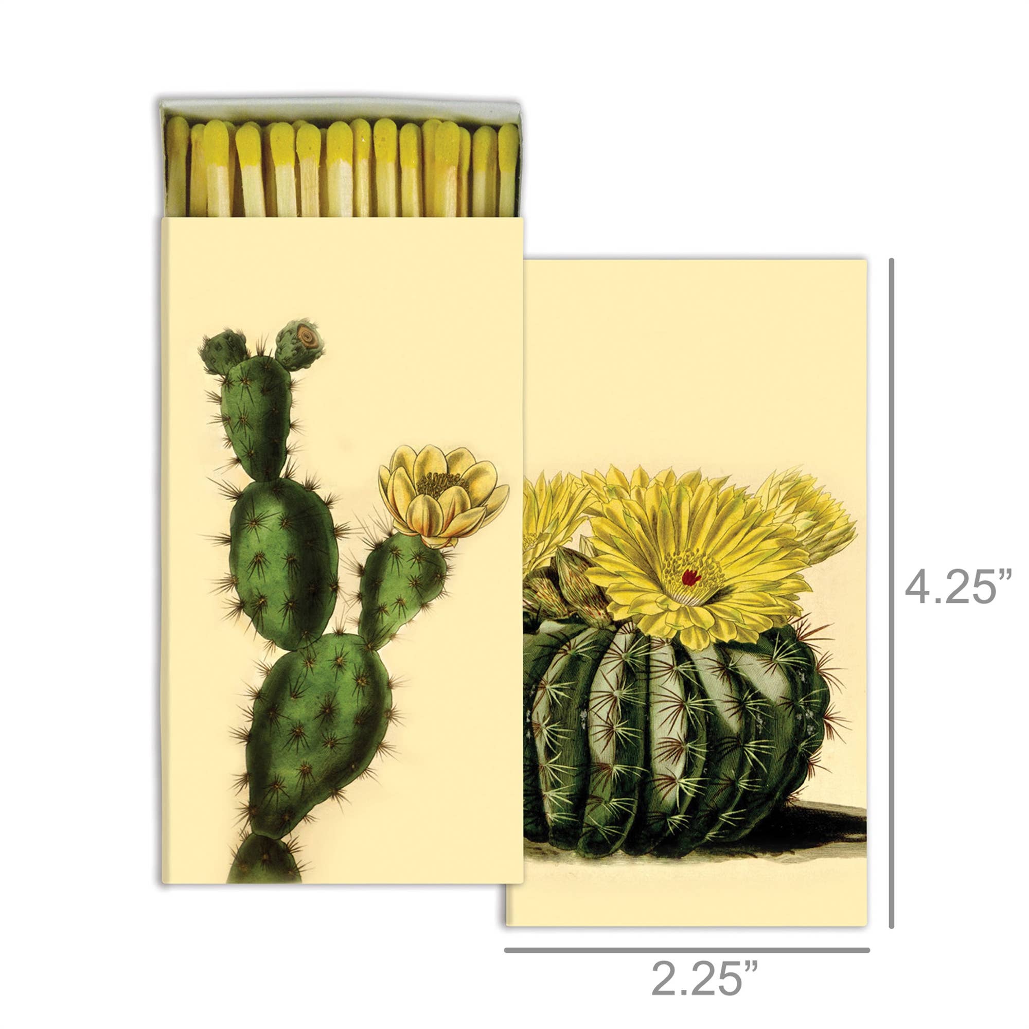 HomArt - Matches - Cacti