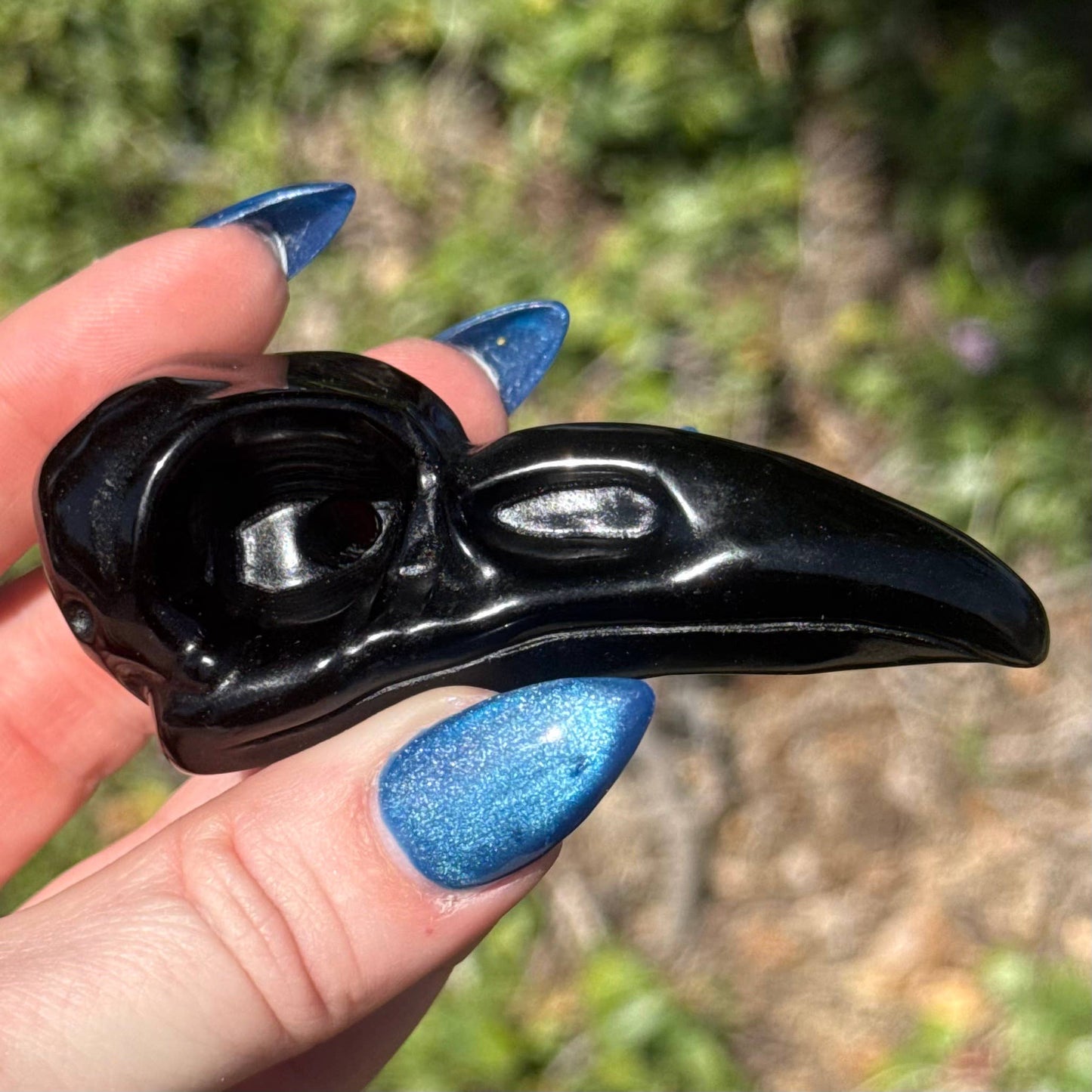 The Crystal Tabby - Obsidian Raven Skull Carving - Large