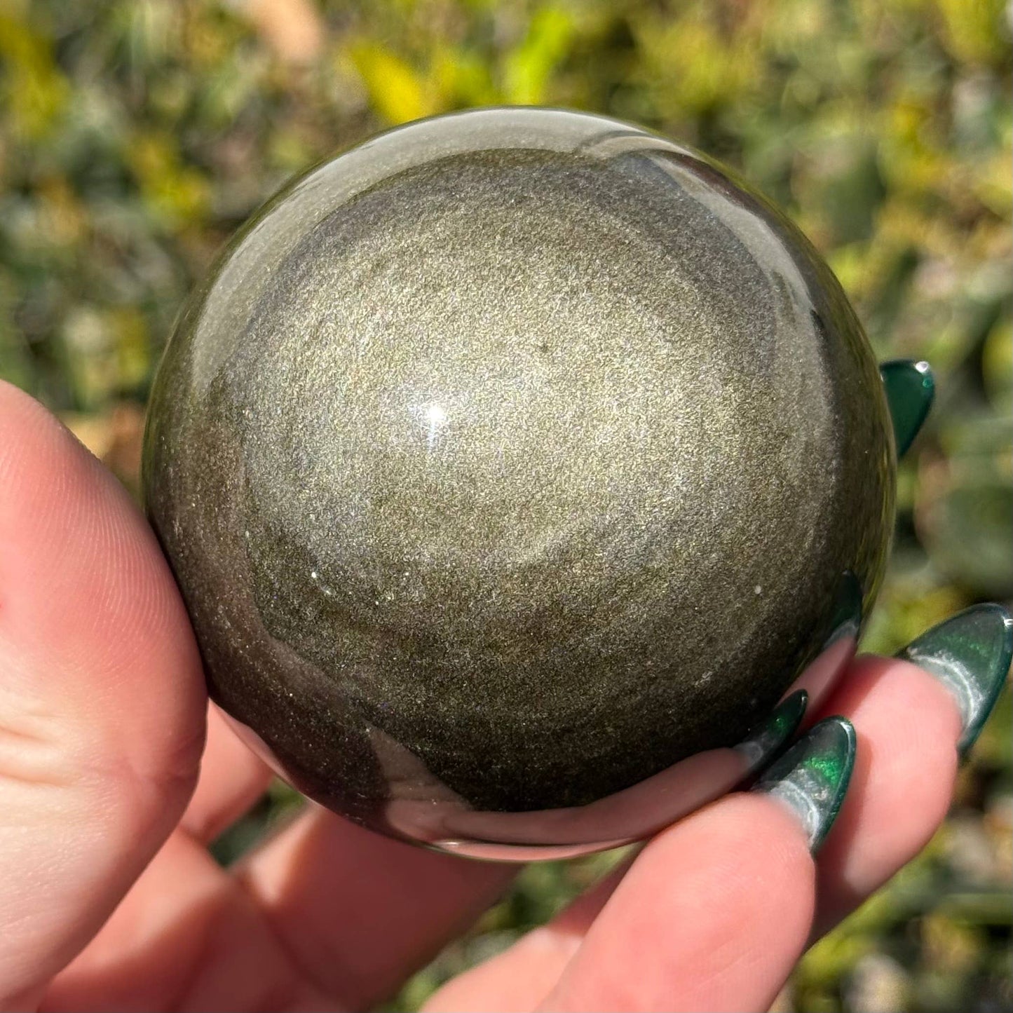 The Crystal Tabby - Gold Sheen Obsidian Sphere