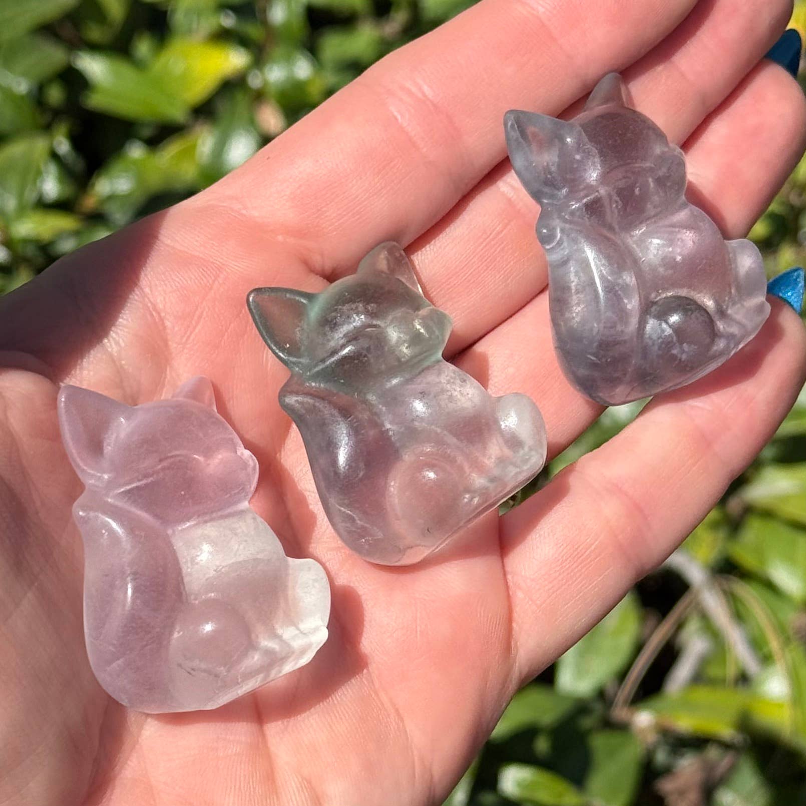 FLUORITE FOX