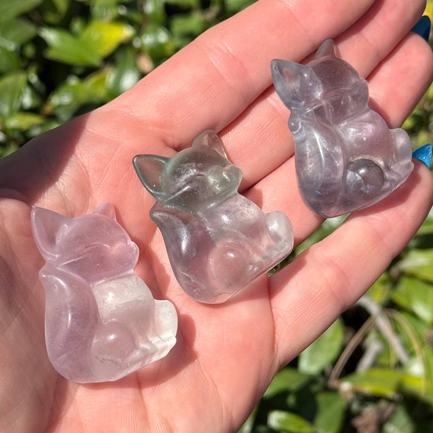 The Crystal Tabby - Fluorite Fox - Choose your Color : Pale