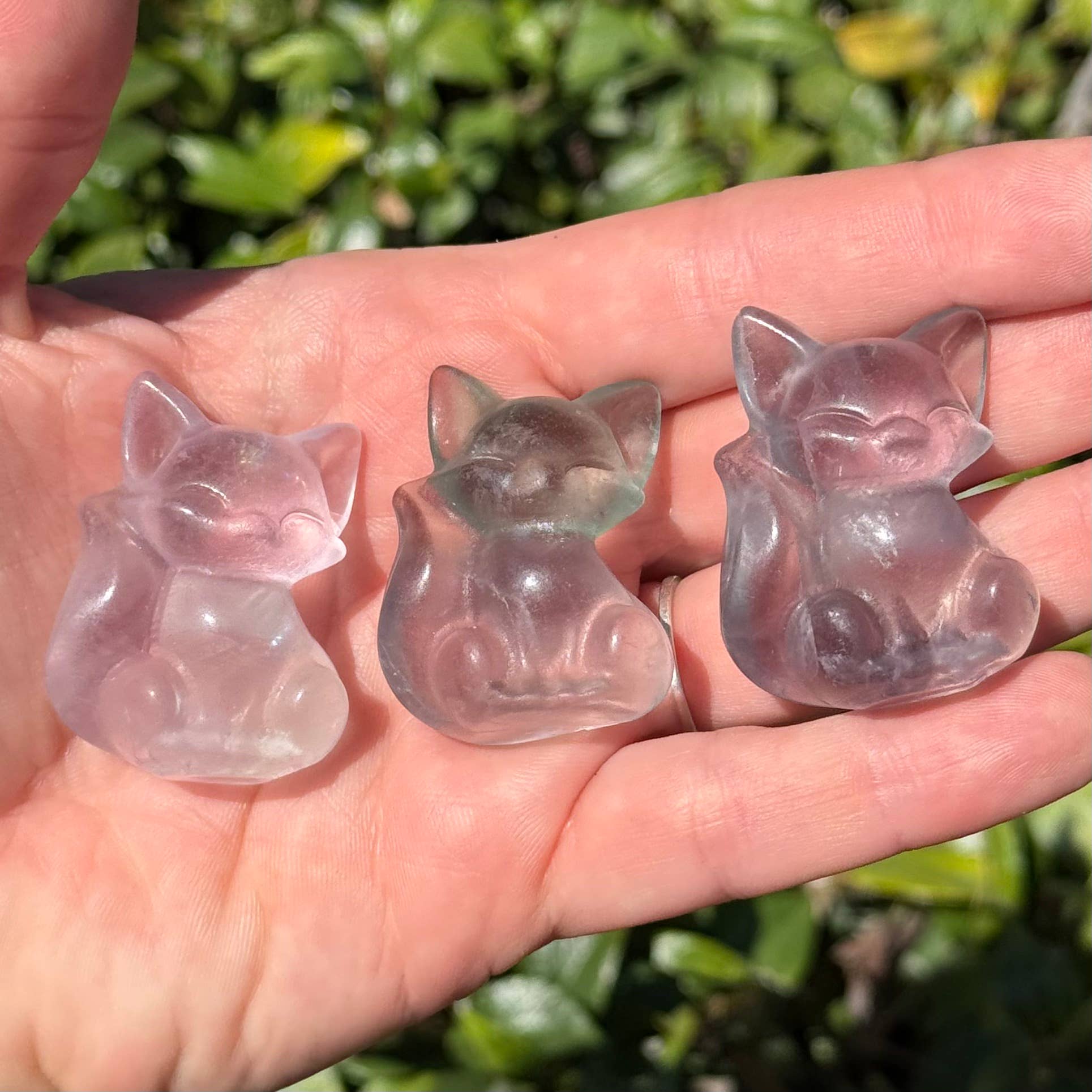 FLUORITE FOX