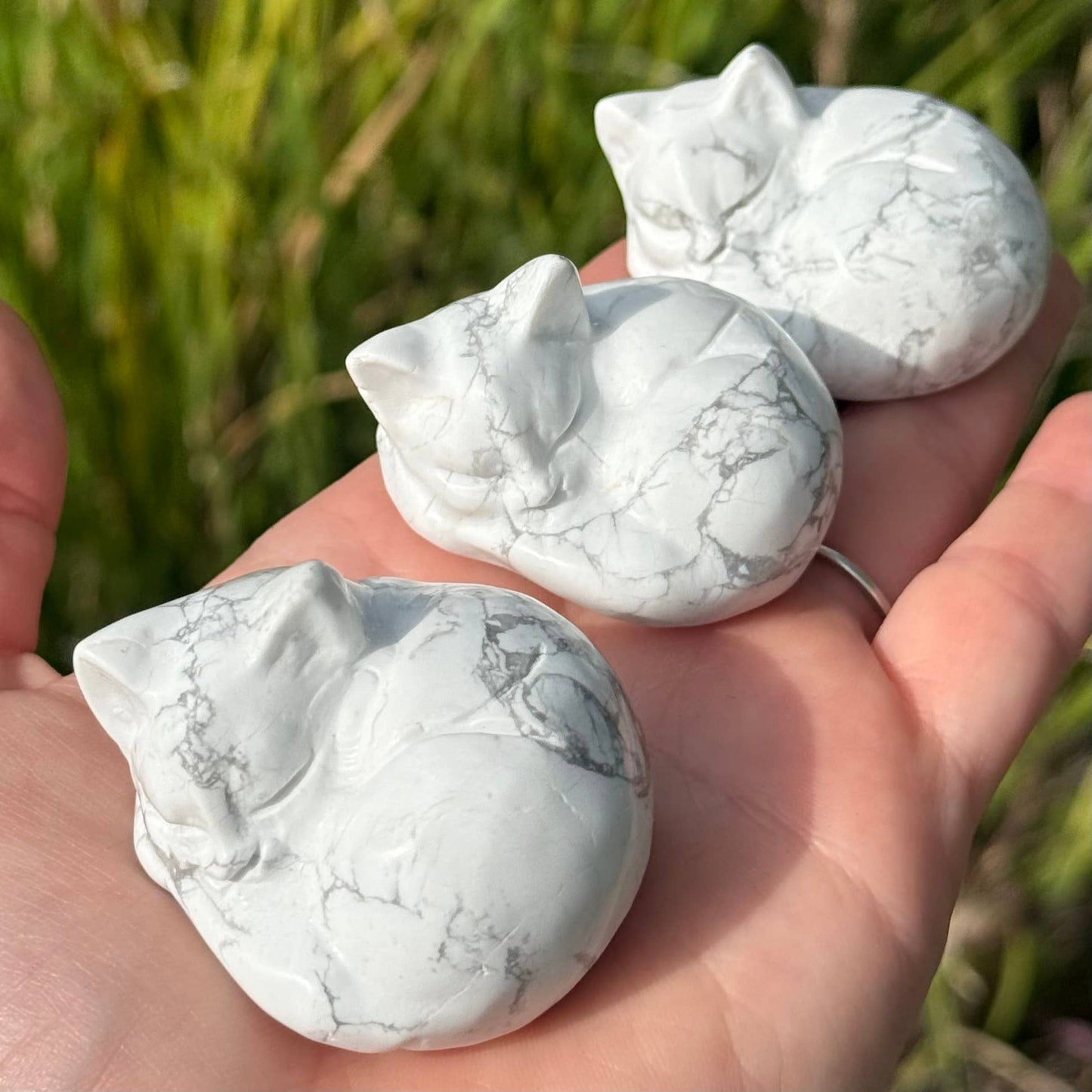 The Crystal Tabby - Sleepy Kitty - Howlite