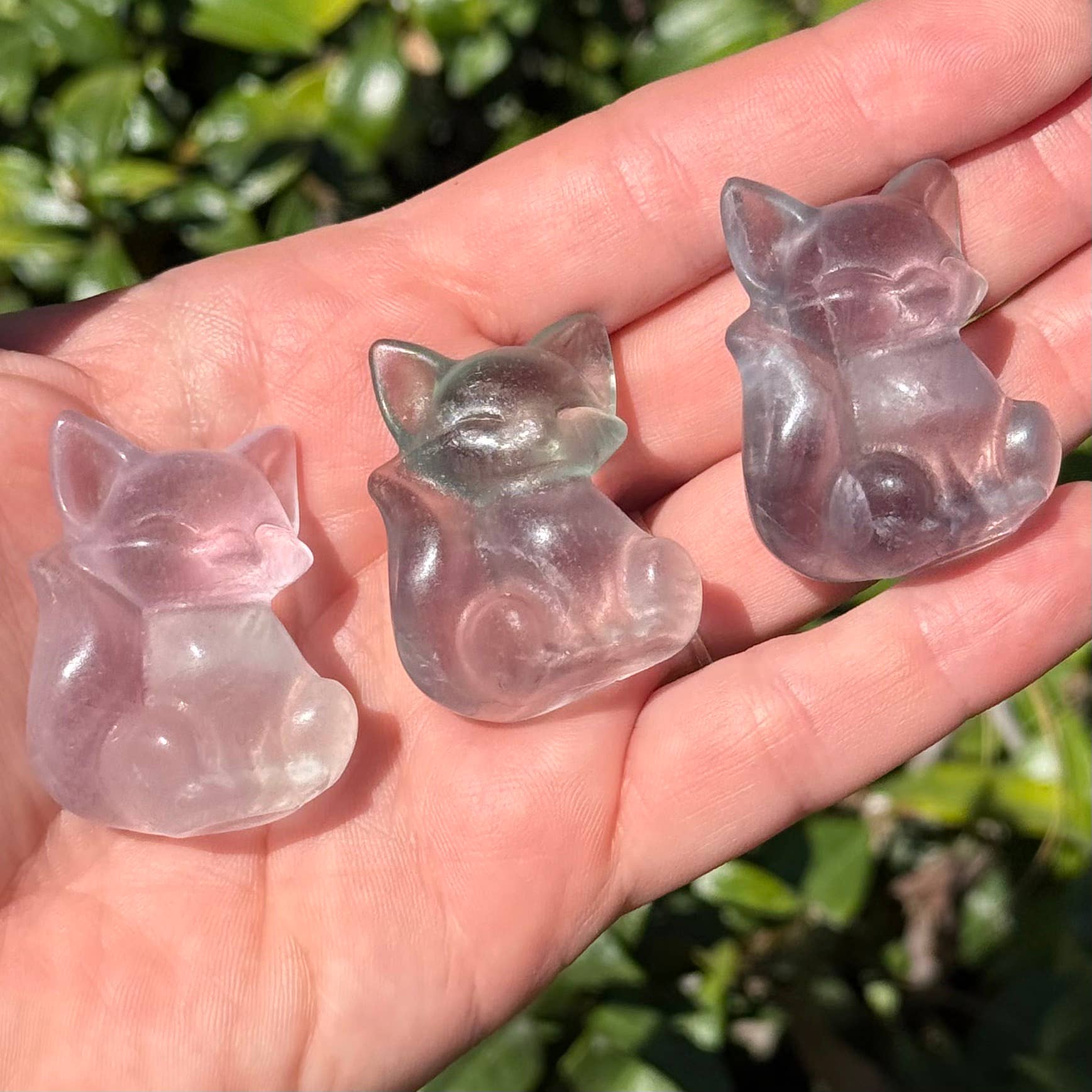 FLUORITE FOX