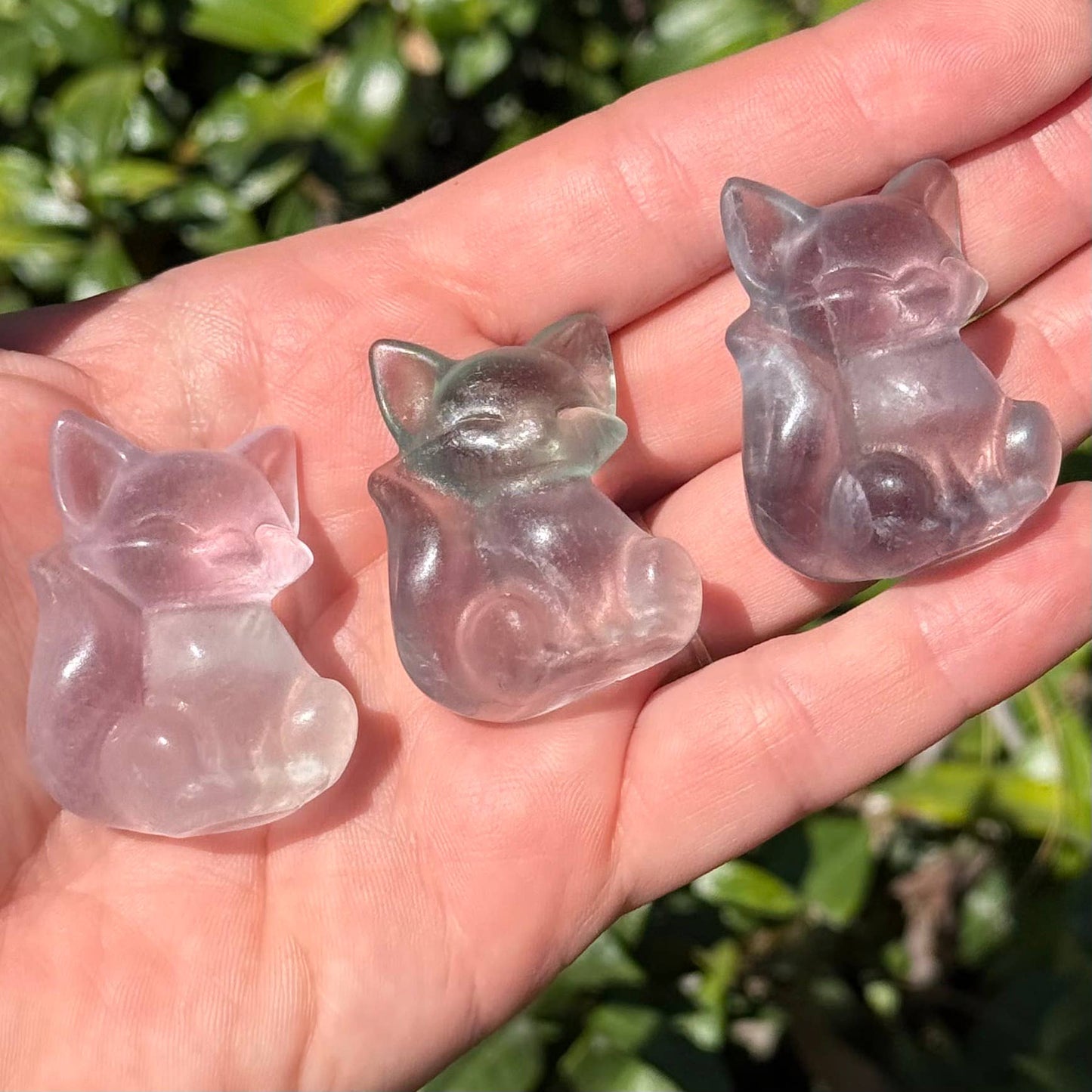 The Crystal Tabby - Fluorite Fox - Choose your Color : Pale