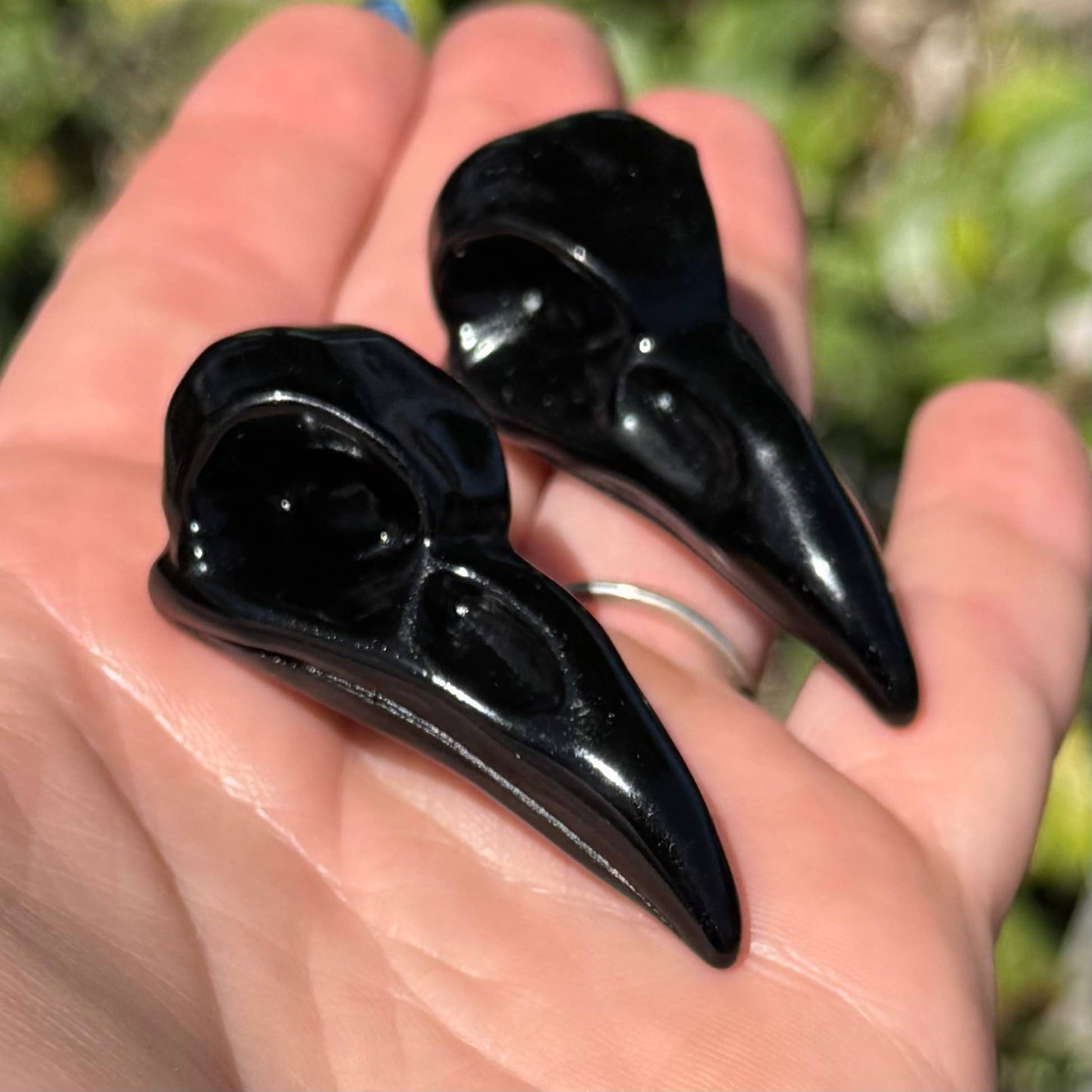 The Crystal Tabby - Obsidian Raven Skull - Small