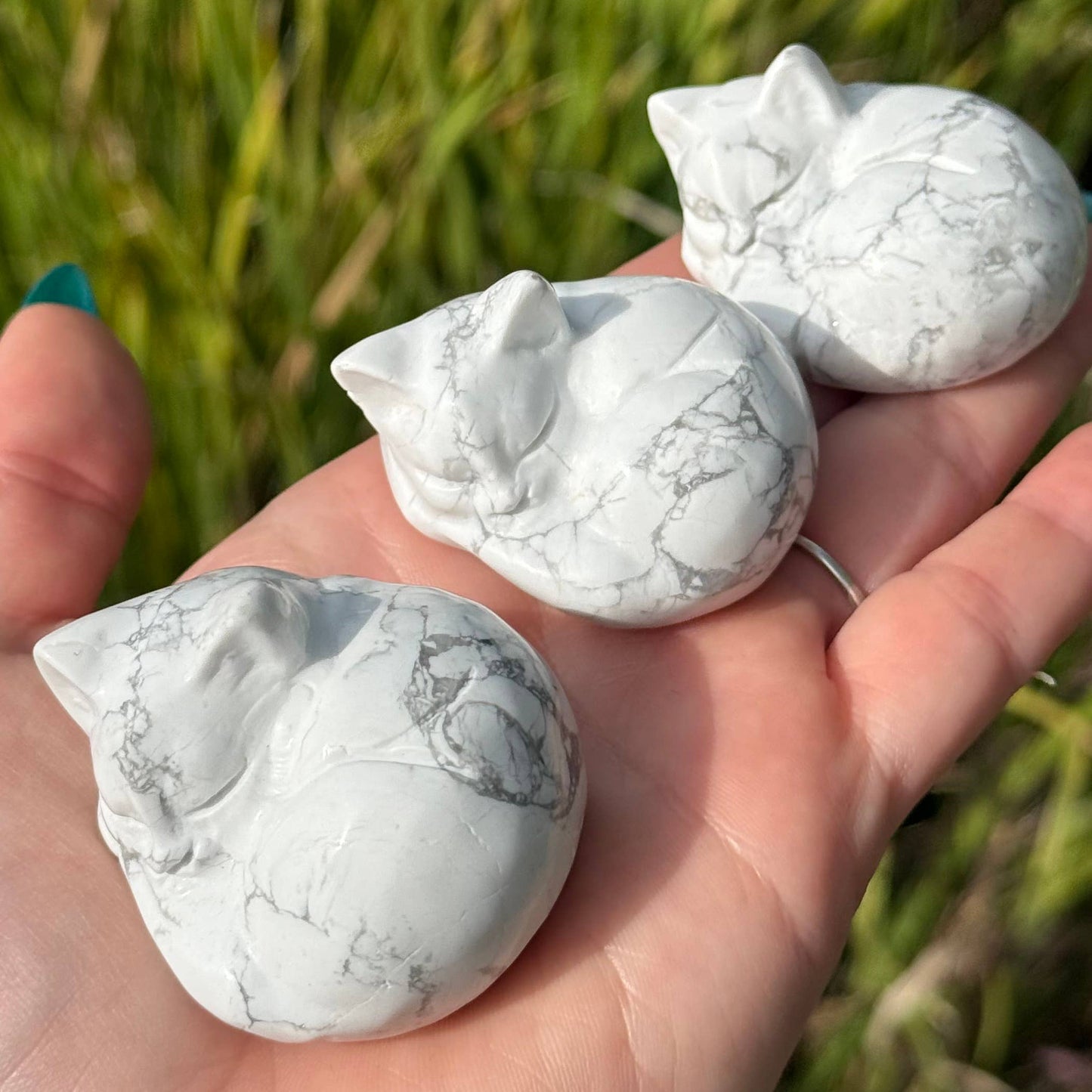 The Crystal Tabby - Sleepy Kitty - Howlite