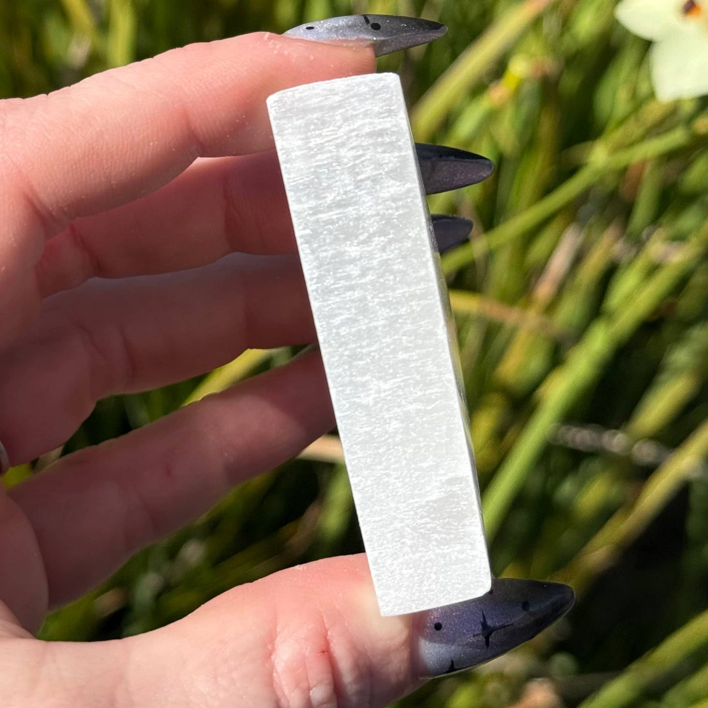 The Crystal Tabby - Selenite Triangle Plate