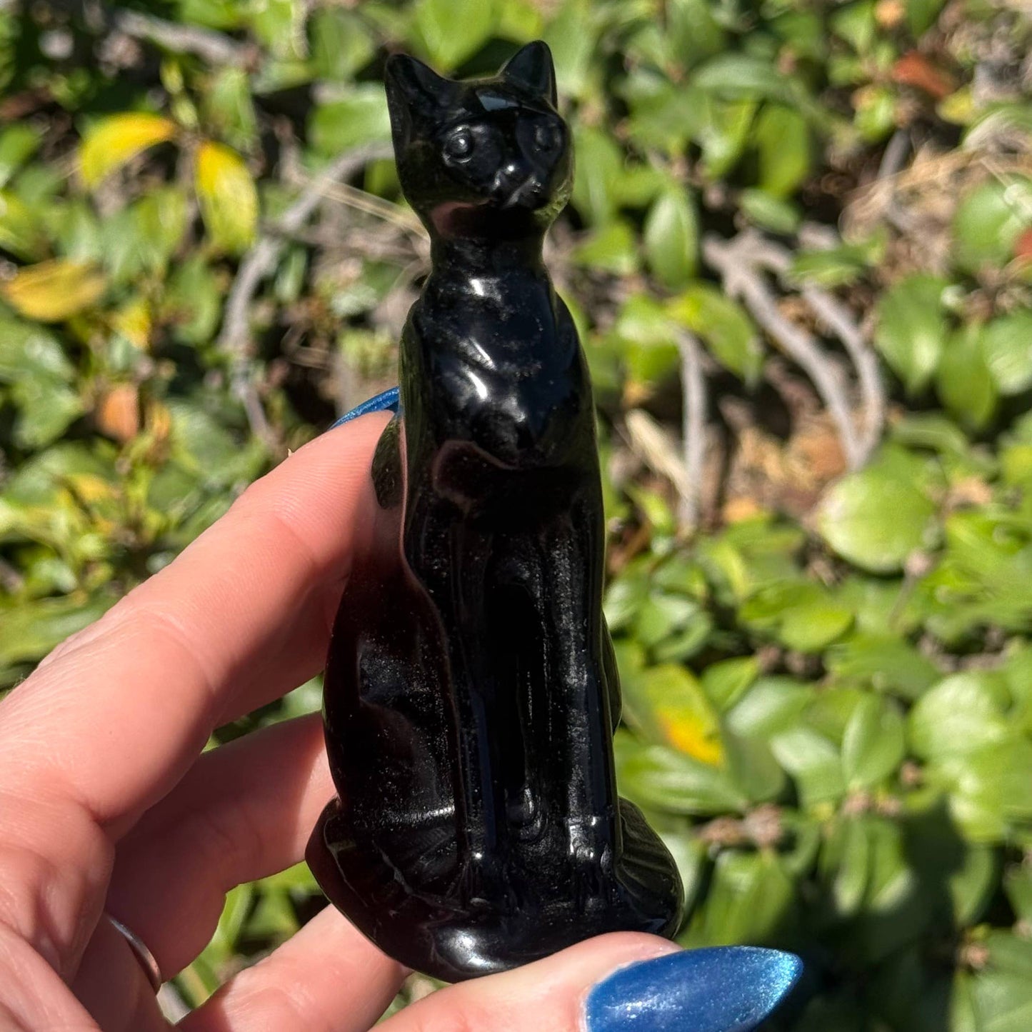 The Crystal Tabby - Obsidian Sphynx - Large