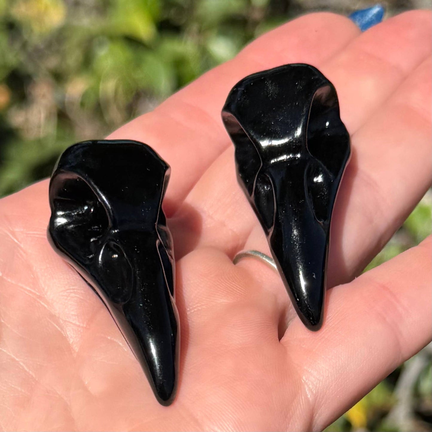 The Crystal Tabby - Obsidian Raven Skull - Small