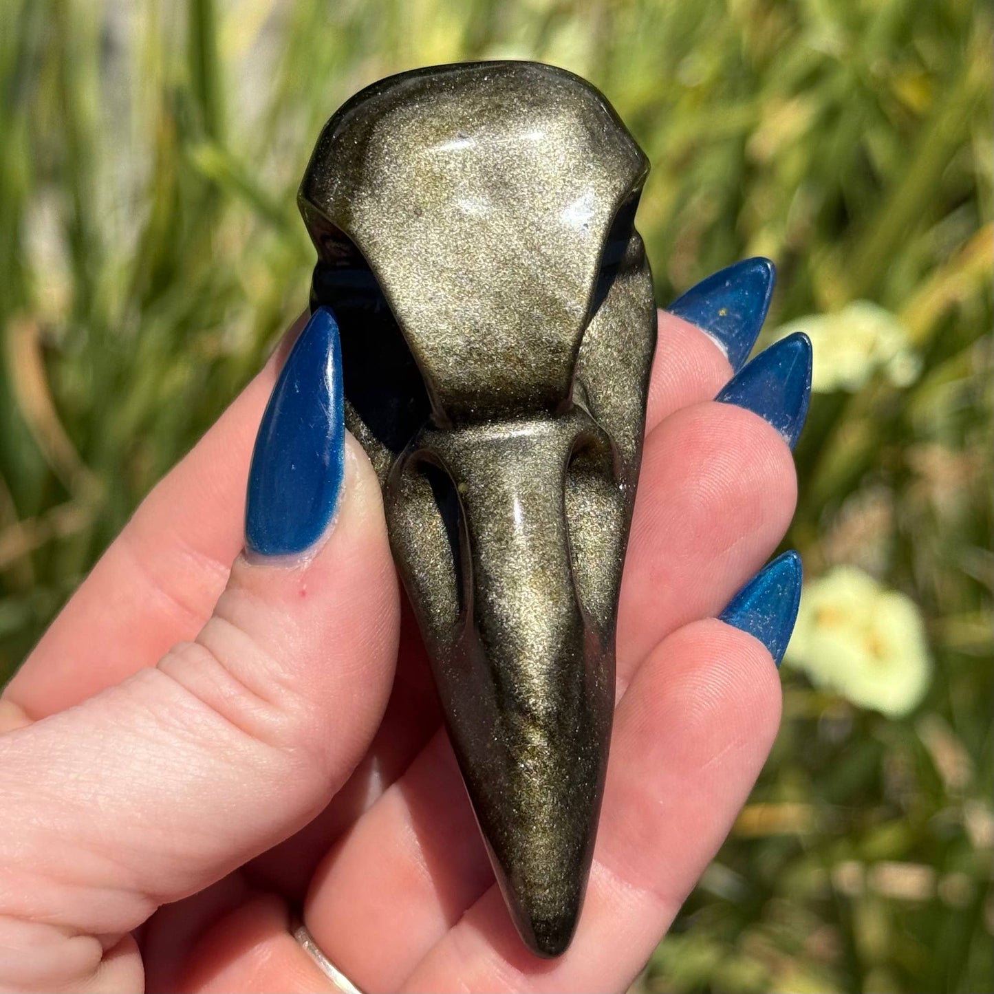 The Crystal Tabby - Gold Sheen Obsidian Raven Skull Carving - Large