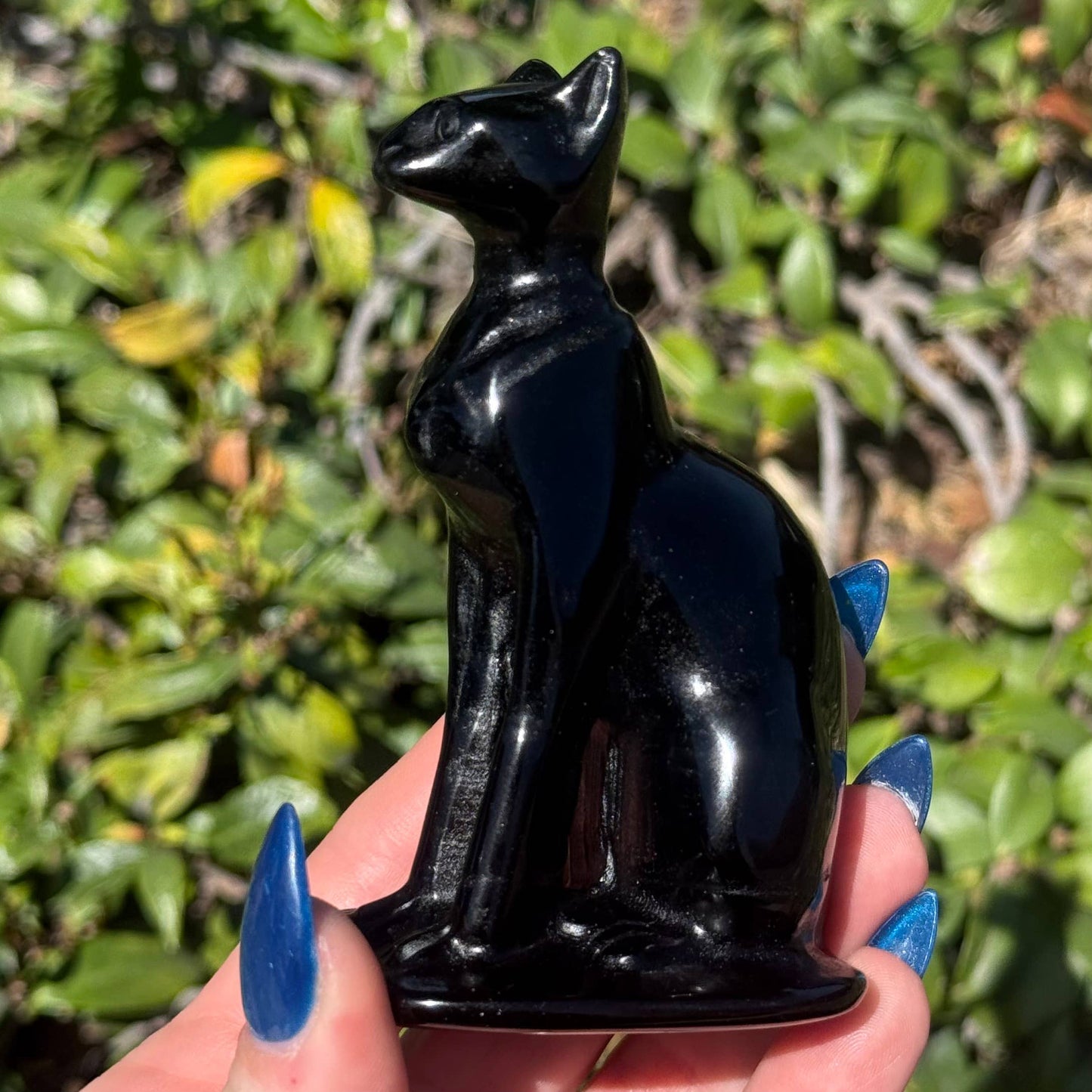 The Crystal Tabby - Obsidian Sphynx - Large