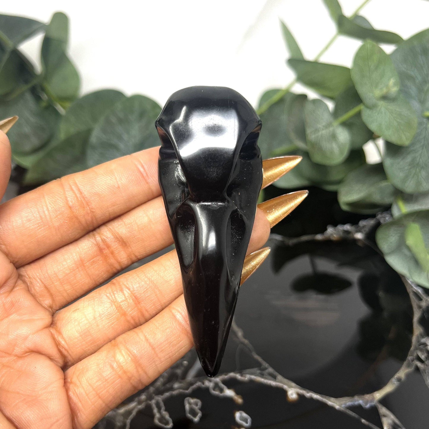 The Crystal Tabby - Obsidian Raven Skull Carving - Large